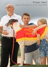 Proper Gent - Ipswich Greyhound of the Year 2019